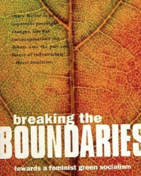 Breaking the Boundaries by Mary Mellor